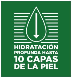 Capas de piel
